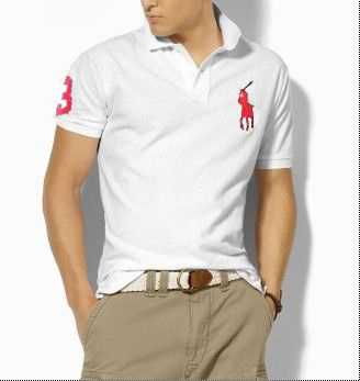 Polo T shirt 146